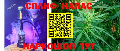 Альфа ПВП Малгобек