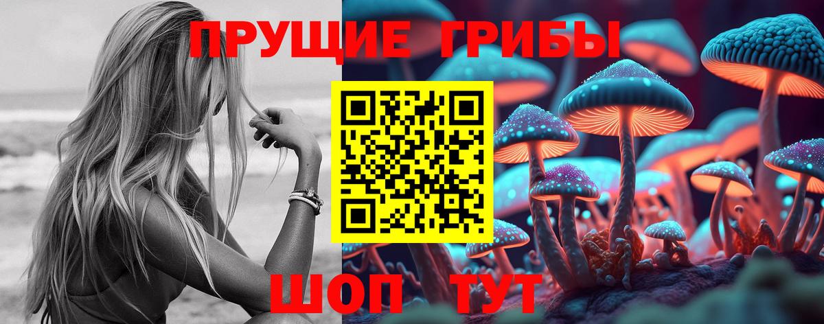Псилоцибиновые грибы прущие грибы  купить   Егорьевск  Вход с VPN  Псилоцибиновые грибы Psilocybe 